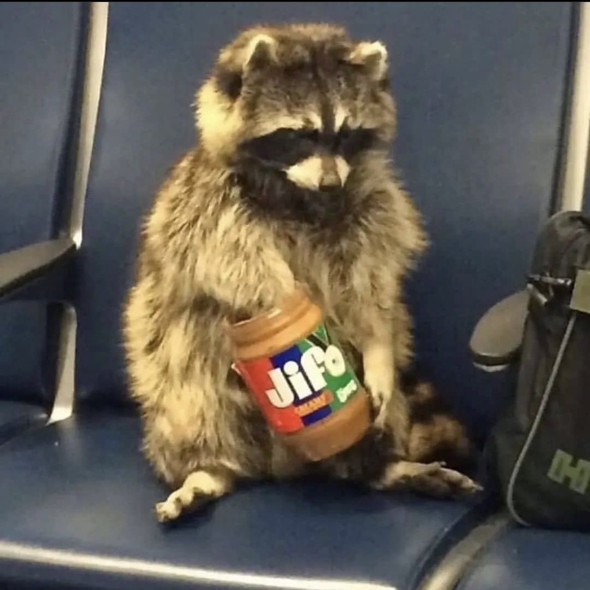 LeftRightTIM's tweet image. First audience member to recreate this tonight gets a ✨personalized✨ meet and greet with Left Right TIM