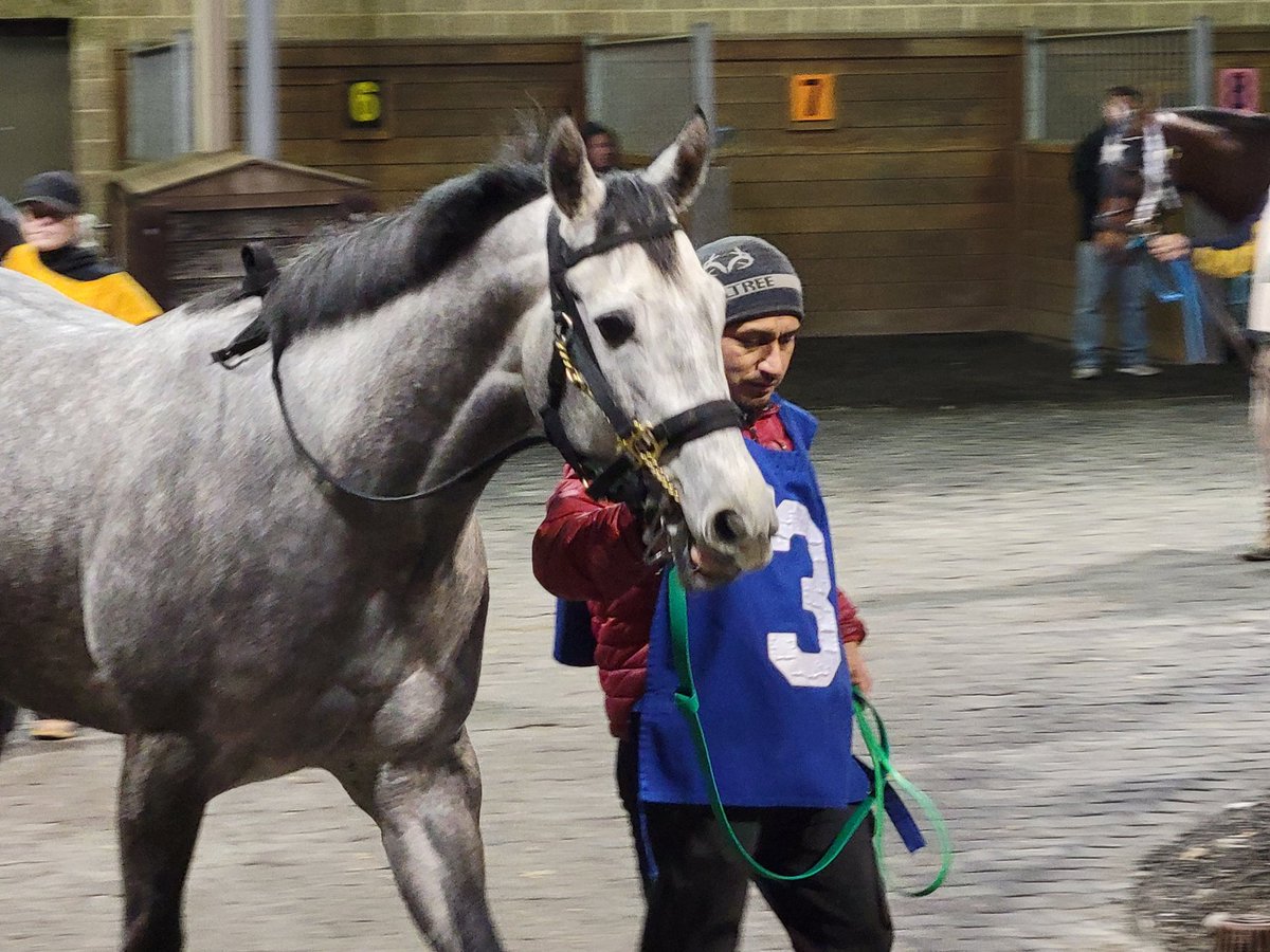 Holly_August's tweet image. First trip to @HollywoodPenn to watch #Anoint for @Keri145 @jodiquinn69 and #Littlemissknockout for @WasabiStables. Tough night for both, but a great choice to visit on a Friday night. Next time...