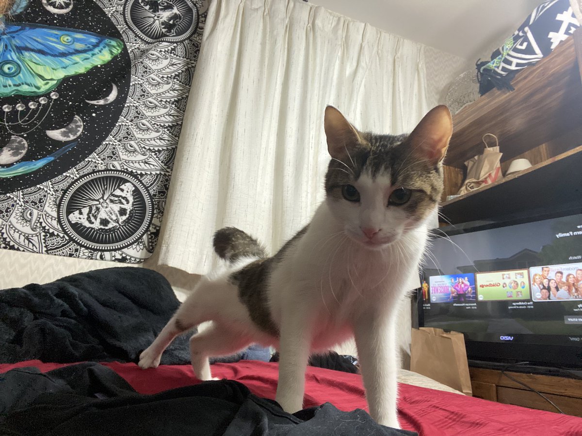 what is this guy doing