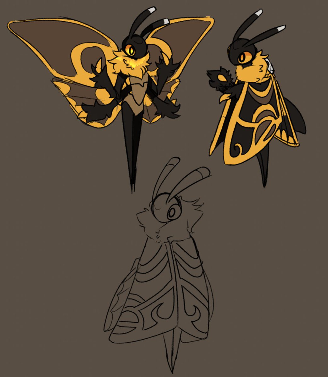 Sleepy_Spruce's tweet image. death&apos;s head hawkmoth oc,,,, #HollowKnight #moth #bugoc #hollowknightoc