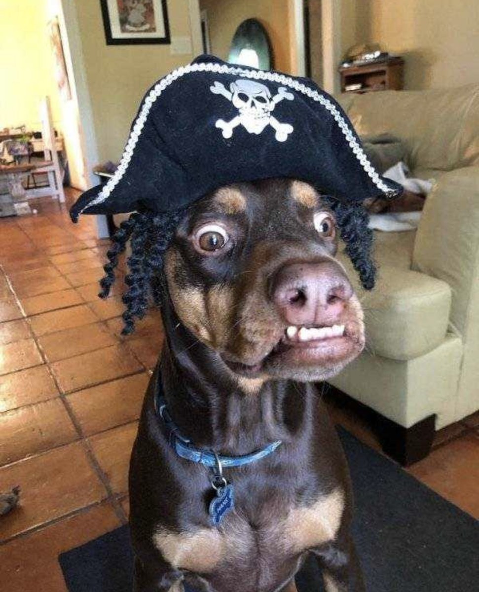 AgathaChocolats's tweet image. In six words or fewer, write a story about this photo.
#sixwordstory #WritingCommunity