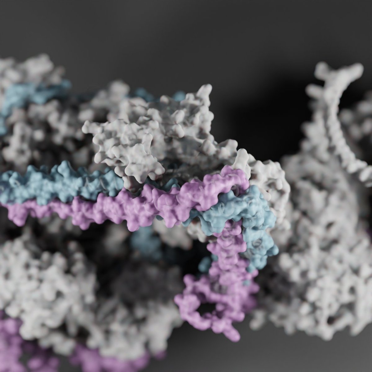 Forgot to include this little piece of eye-candy. A beautiful render by Sarah Piper <a href="/SarahJ_Piper/">Sarah Piper</a> <a href="/PiperProteins/">PiperProteinProductions</a> CCDC22 and CCDC93 proteins coloured blue and pink with other proteins in grey.