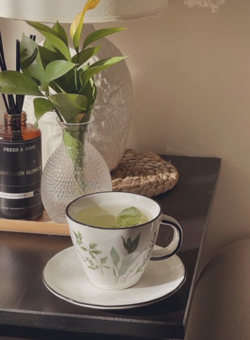 صباح دافئ .. مختلف .. حنون.🌤️