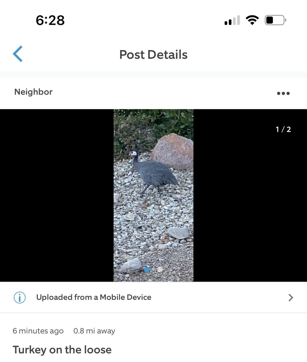 nicoleeasley_'s tweet photo. as someone who is terrified of birds, this is horrifying news to learn on my ring app. Less than a mile away? Writing up my will now. https://t.co/fBXG4uSVKE