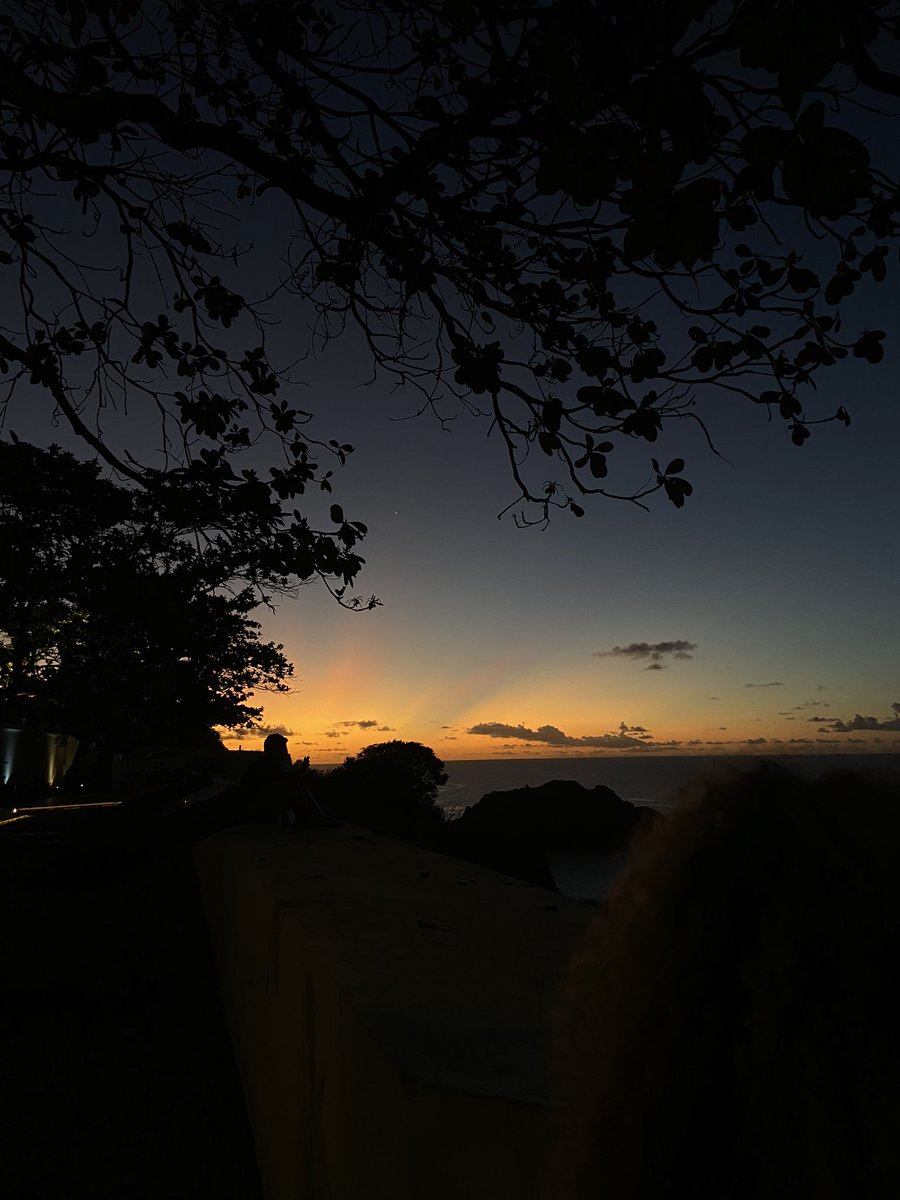 juliabsouto's tweet photo. O pôr-do-sol é uma coisa tão simples mas tão bonita 🌄 https://t.co/5c6j80UOM6