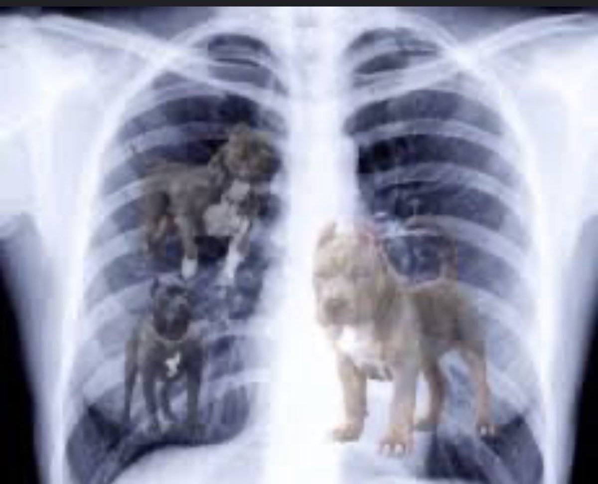 After being taken to the locker room x-rays have determined <a href="/t2rayy/">Ry’Ale Moses</a> has that DAWG in him