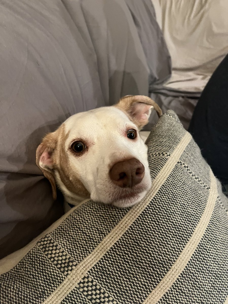 ButchandM's tweet photo. #FridayNight “Will there be popcorn 🍿?” Manfred https://t.co/rHtnXZxBv4