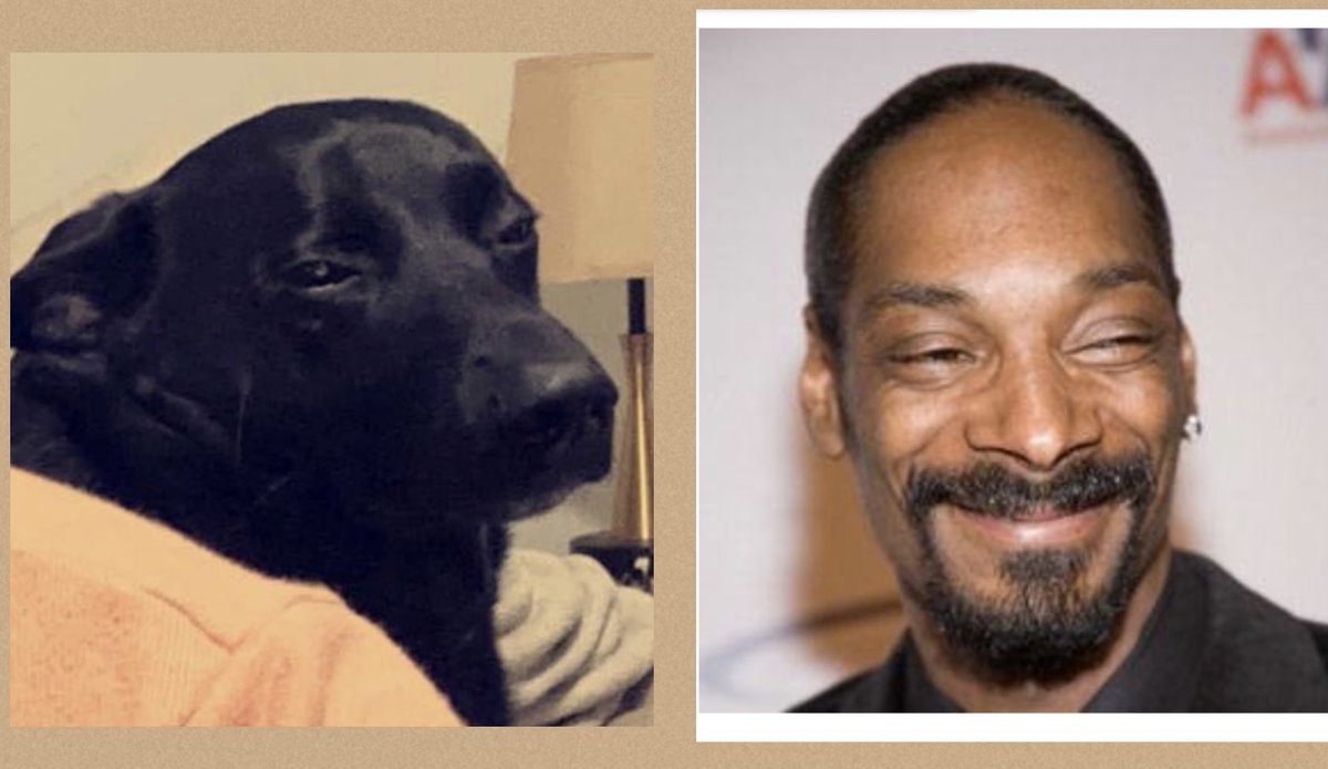 twilliams71's tweet photo. Is the @19Crimes kicking in or is my dog starting to resemble @SnoopDogg ?? https://t.co/mgR9apBdlz