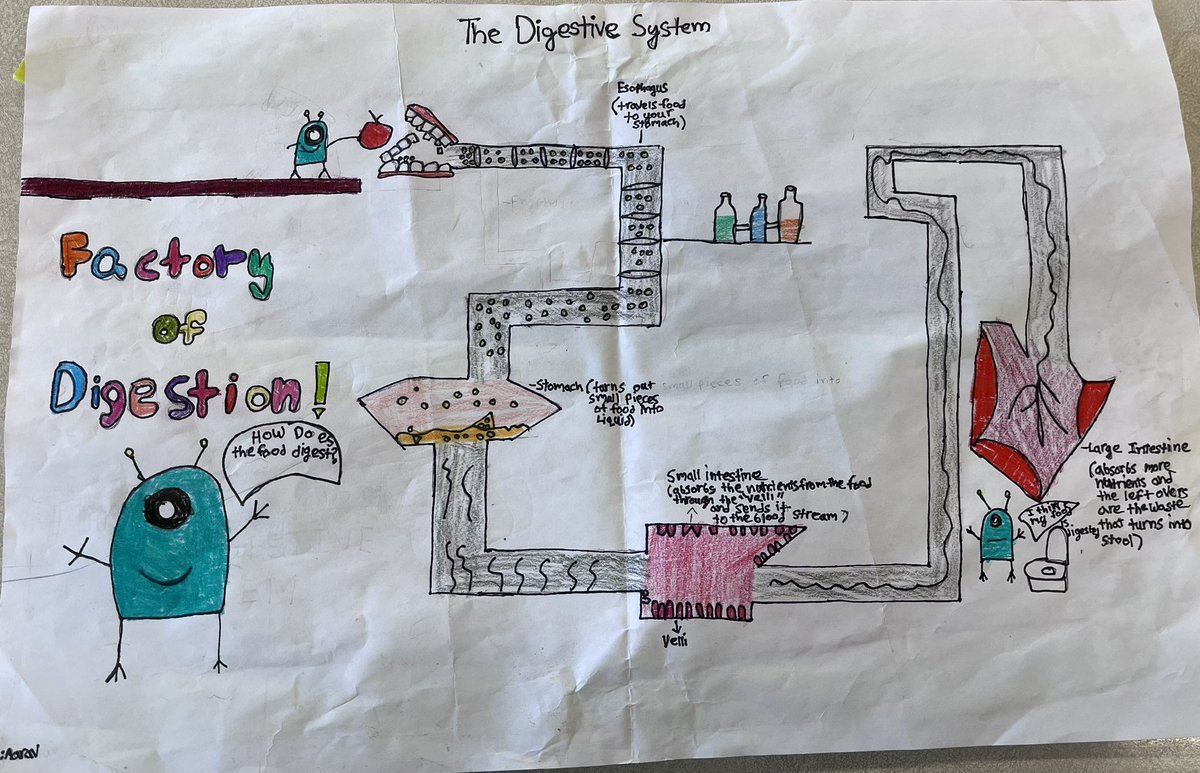Our Digestive System Factories … always hard at work 💪. Students created a well-run &amp; creative factory representation of the digestive system, in which a large number of complex tasks are performed 🙌🏻 #sciencerules <a href="/BurnhamthorpeFI/">BurnhamthorpePS(FI)</a>