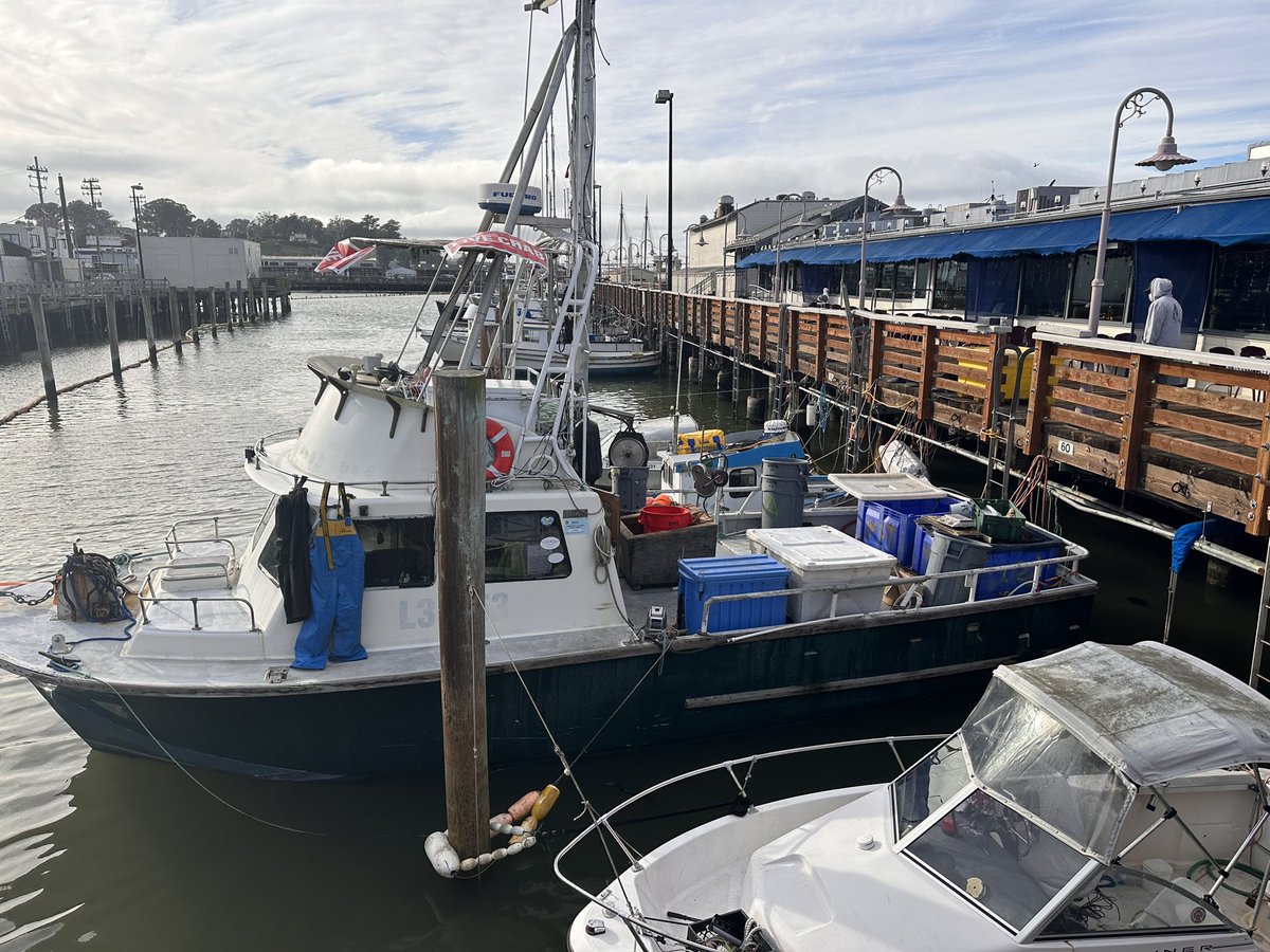 Ryan Petersen tweet media