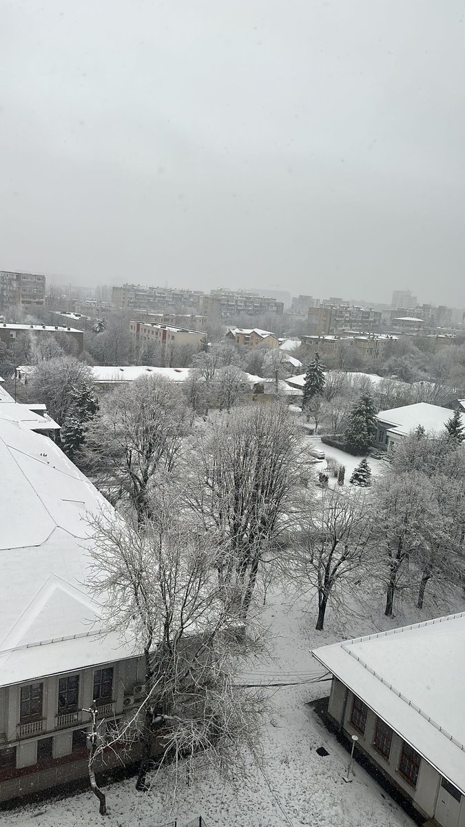 AlbuMihaela6's tweet photo. Bună dimineața, https://t.co/wGrbVXxx0u