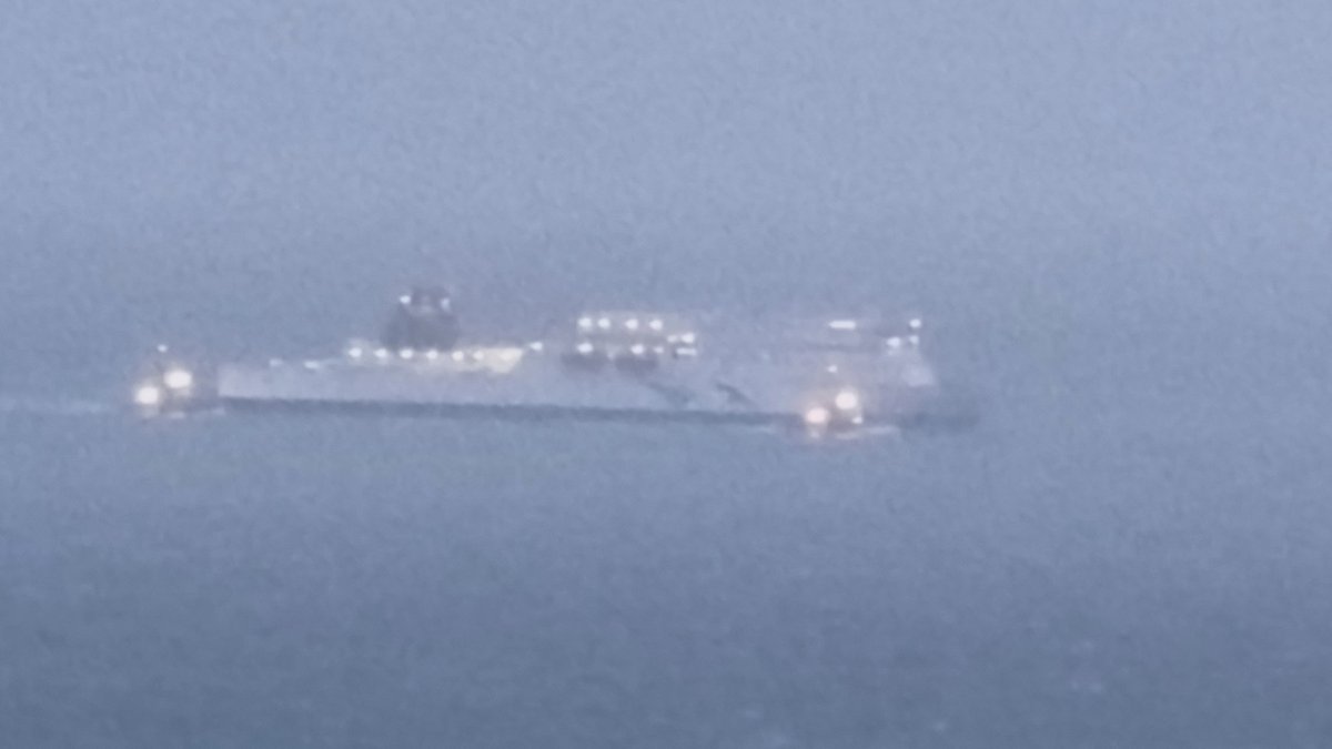 carolynstuart tweet media