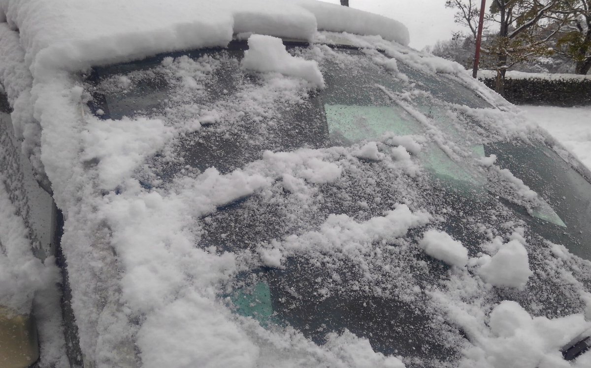 adachi_tetsuo's tweet photo. 先ずは今日を迎えれたコトに感謝します。
コチラに越してから車の雪下ろしは数える程しか無いし、雪掻きは経験無い、その部分も有り難いコト。
知人と少し話をしましたが先日の違和感はそこまでハズレてないと感じた。
昨日、あんなツイートしたのに気持ち揺れます💕
シュッ〆
#BONEAGAIN #金城町 https://t.co/2QGDncdFey