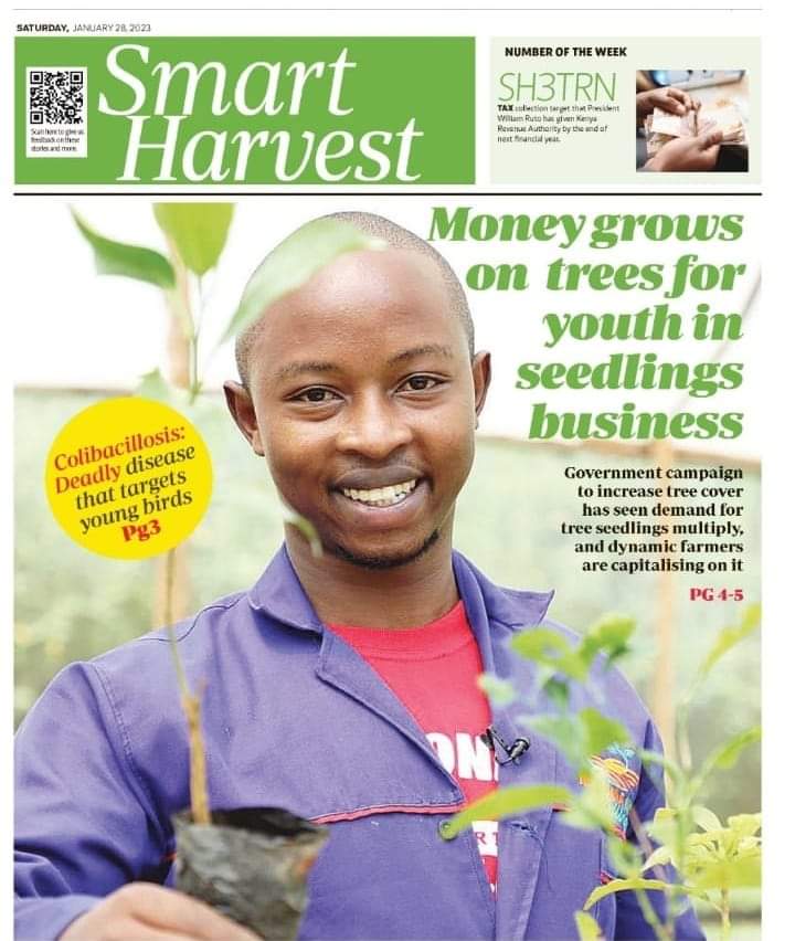 2023 is winning and winning my favorite seedlings raiser Mkulima Mdogo Seedlings is gracing the cover of Smart Harvest Magazine with a word of hope and success for the farmers.
#Letsgrowtogether
#WeMustWin