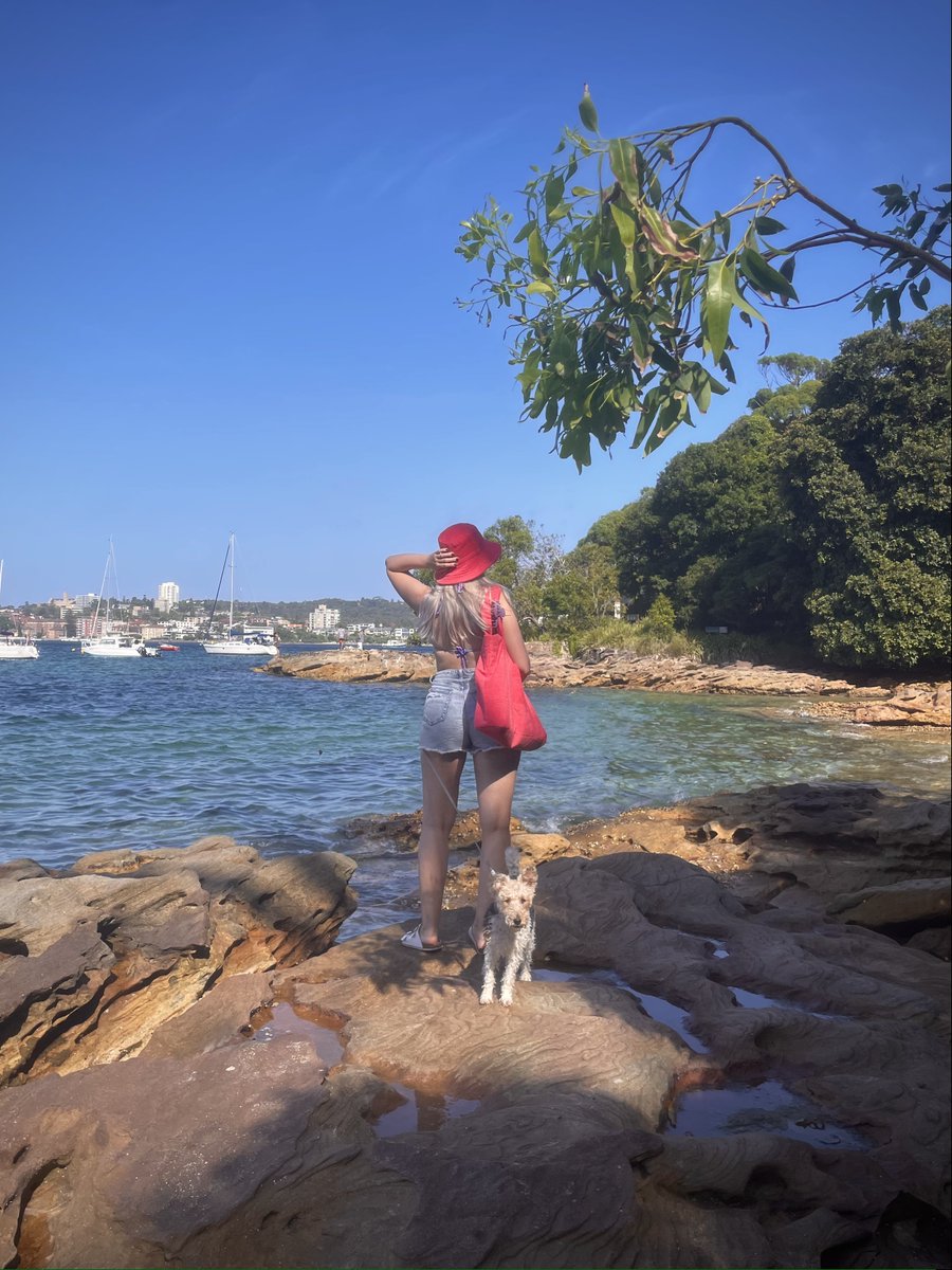 》Agnė《 tweet media