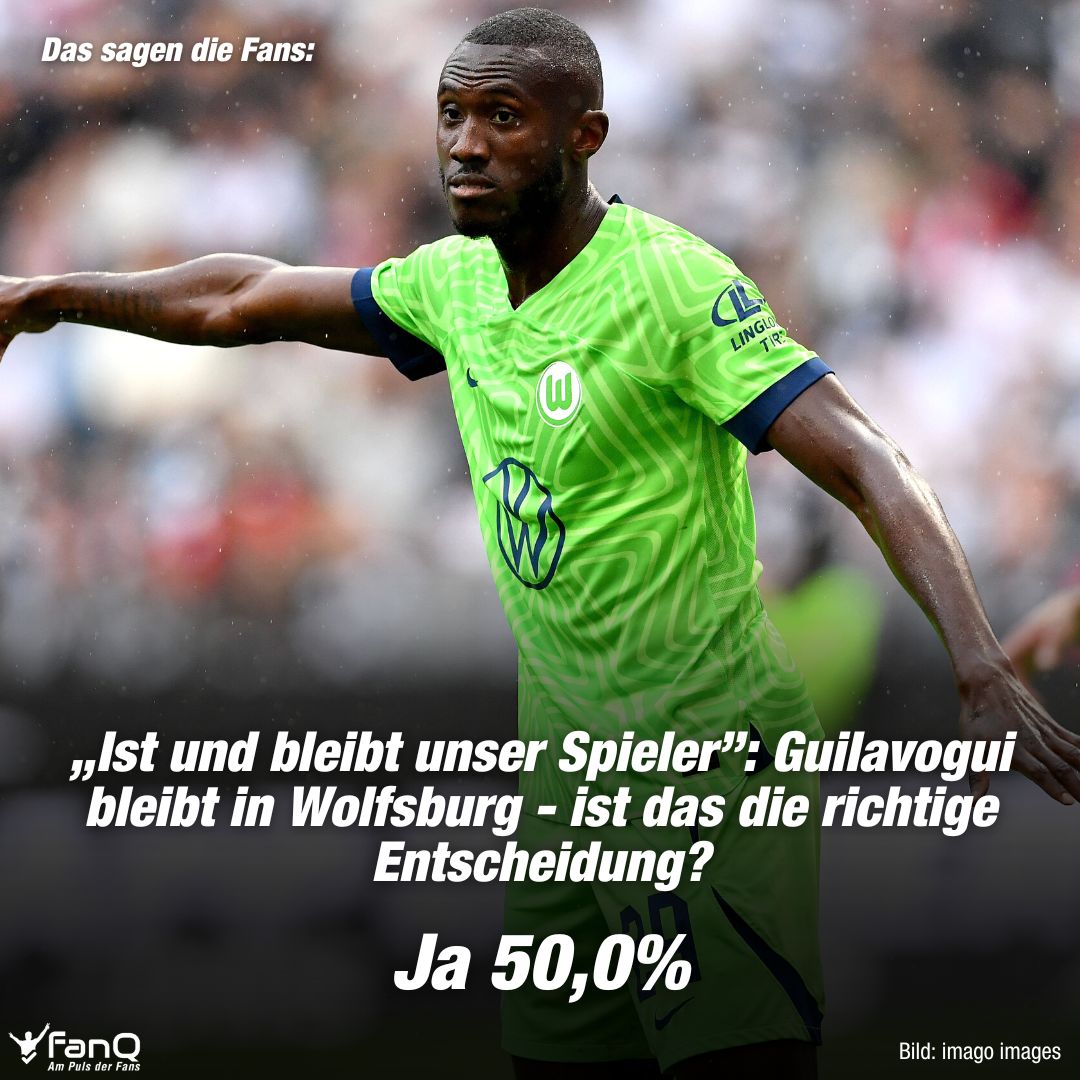 FanQ tweet media