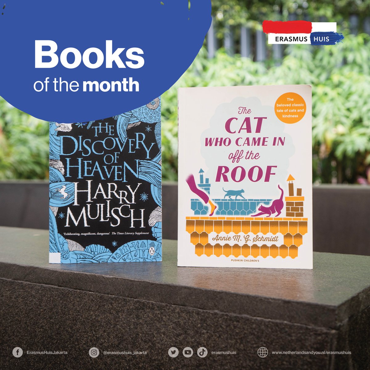 📣 Good news! You can now read books by Dutch authors in English at the Erasmus Huis library!

For example, these books we've selected as books of the month - both are popular and have been adapted to movies 🎬

So, what kind of Dutch books would you like to read in English? 📖