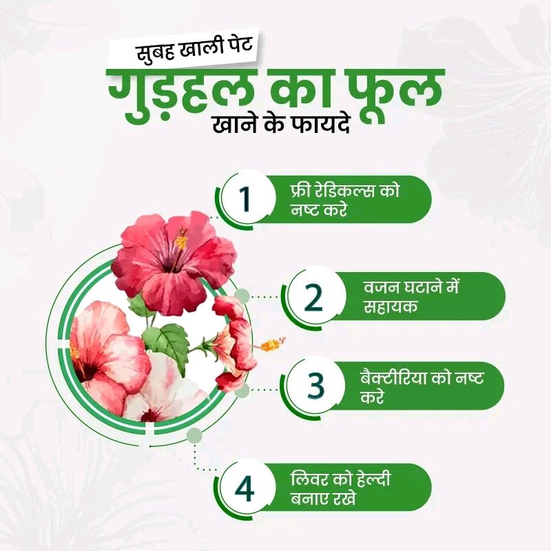 IND_Munendra's tweet image. #HealthyTips || सुबह खाली पेट गुड़हल का फूल खाने के फायदे -

- फ्री रेडिकल्स को नष्ट करे
- वजन घटाने में सहायक
- बैक्टीरिया को नष्ट करे
- लिवर को हेल्दी बनाए रखे

#EmptyStomach #HealthyLifestyle #Hibiscus #HealthProblem