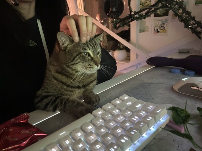 she watch me play league https://t.co/LaqnNLfc79<a href="/tag/throne"class="tags"><span>#throne</span></a><a href="/tag/wishlist"class="tags"><span>#wishlist</span></a>