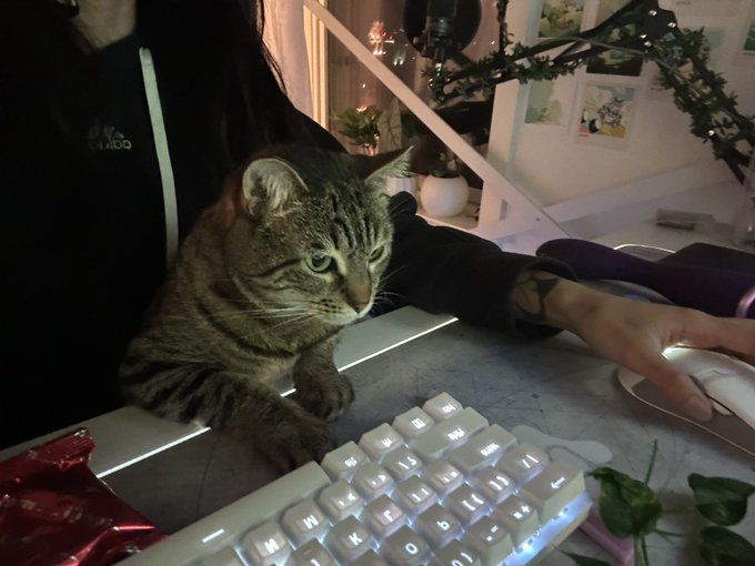 she watch me play league https://t.co/LaqnNLfc79<a href="/tag/throne"class="tags"><span>#throne</span></a><a href="/tag/wishlist"class="tags"><span>#wishlist</span></a>