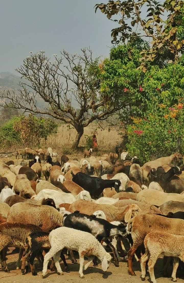 ℍ𝕚𝕥esh tweet media