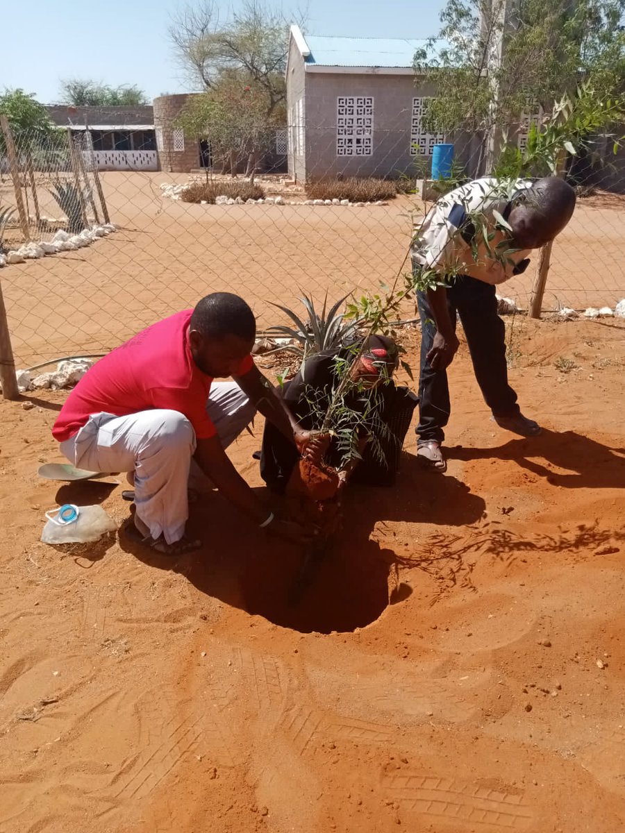 Karasinga3's tweet photo. Our environmental and humanitarian team planted a tree for Dedan Kimathi commemoration tree at Wajir Catholic Mission.
@evakimathi @WetlandOrg @WajirCountyKE @CODKABULSHADA
#Treeforheros #ClimateStrike https://t.co/y3W1rHfEGx