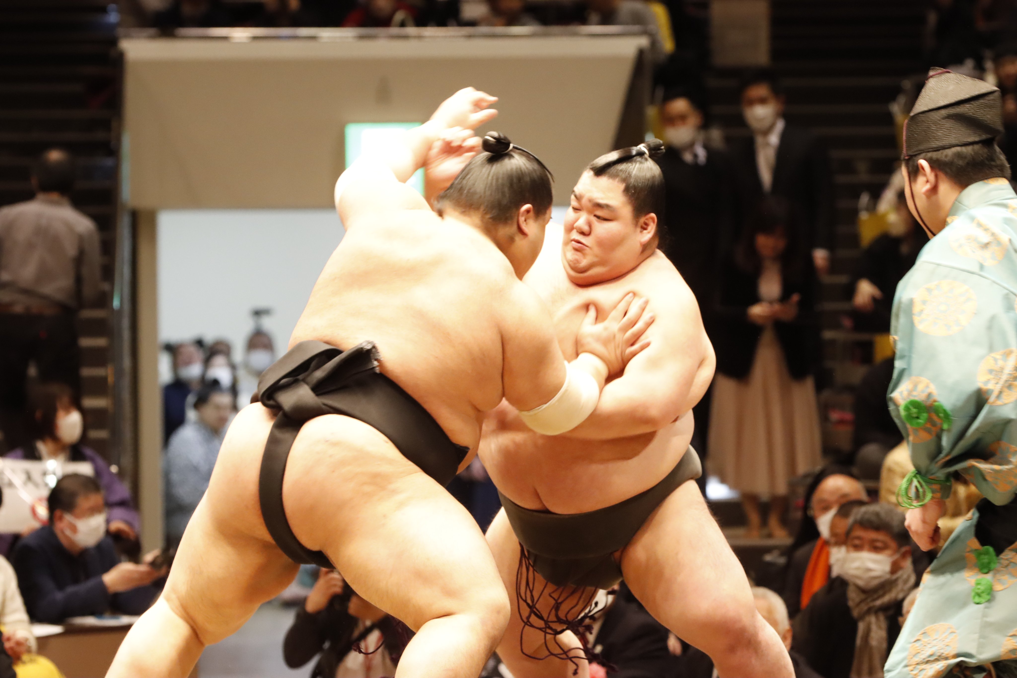 商品の特性 - 白鵬引退宮城野襲名披露大相撲 イス席B 3枚 - 購入格安