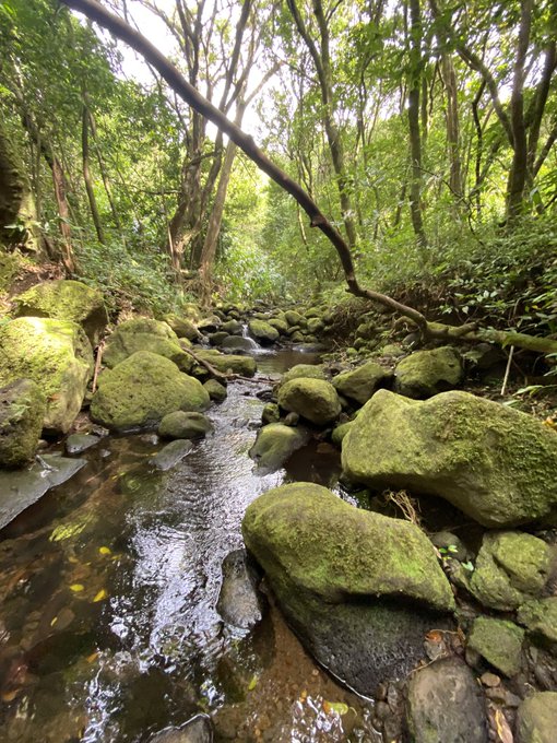 Watch TAYLOR WHITE's leaked NSFW photo on TwXstars