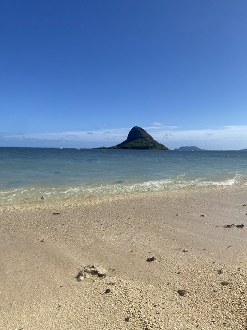 Watch TAYLOR WHITE's leaked NSFW photo on TwXstars