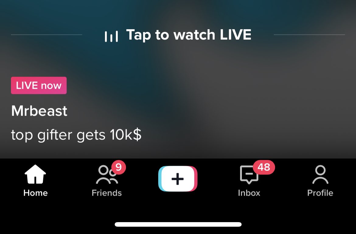 Fake <a href="/MrBeast/">MrBeast</a> on TikTok, caption is wild