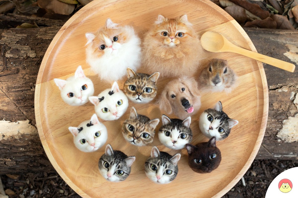 memwa_handmade's tweet image. ลูกๆเซ็ทสุดท้ายของคุณลูกค้าคิวงานที่ลงไว้ปี2566 เดินทางแล้วจ้าาาาา🥳
#minicat #minidog #handmade #needlefelting #needlework #needlefelted #needlefelt #woolart #woolfelted #woolfelting #cat #catart #catface #dog #dogart #dogface #art #ใยขนแกะ #羊毛フェルト作品 #羊毛フェルト