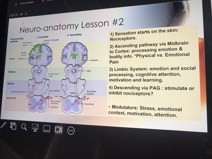 Final read through before my lecture today on The Neuroscience of Sadomasochism. Get ready fellow kink<a href="/tag/bdsm"class="tags"><span>#bdsm</span></a><a href="/tag/pirate"class="tags"><span>#pirate</span></a><a href="/tag/creative"class="tags"><span>#creative</span></a><a href="/tag/puppy"class="tags"><span>#puppy</span></a><a href="/tag/games"class="tags"><span>#games</span></a><a href="/tag/coach"class="tags"><span>#coach</span></a><a href="/tag/whysoserious"class="tags"><span>#whysoserious</span></a>