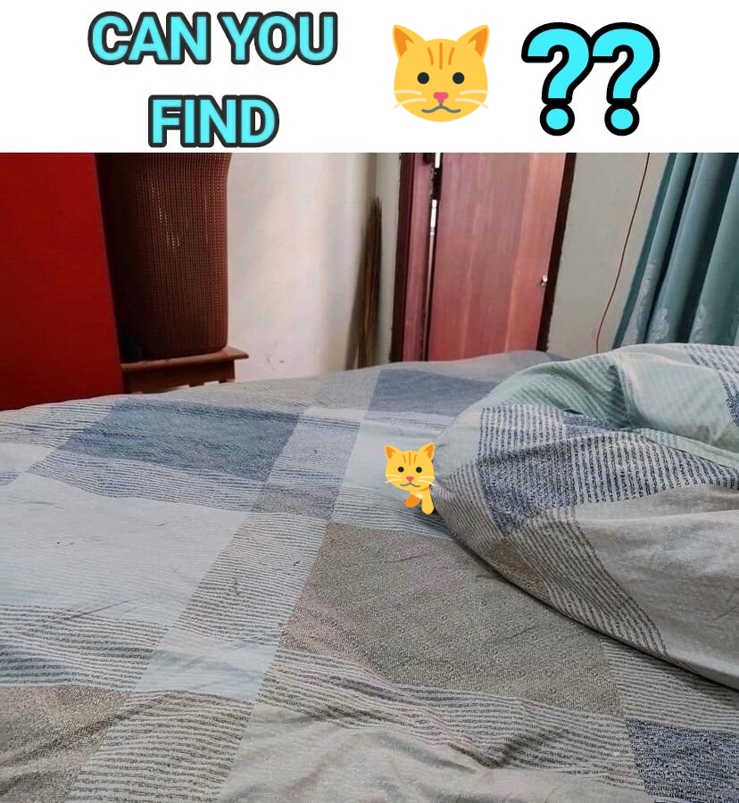 on-twitter-cat-emoji-https-t-co-i7sgepr5t6-twitter
