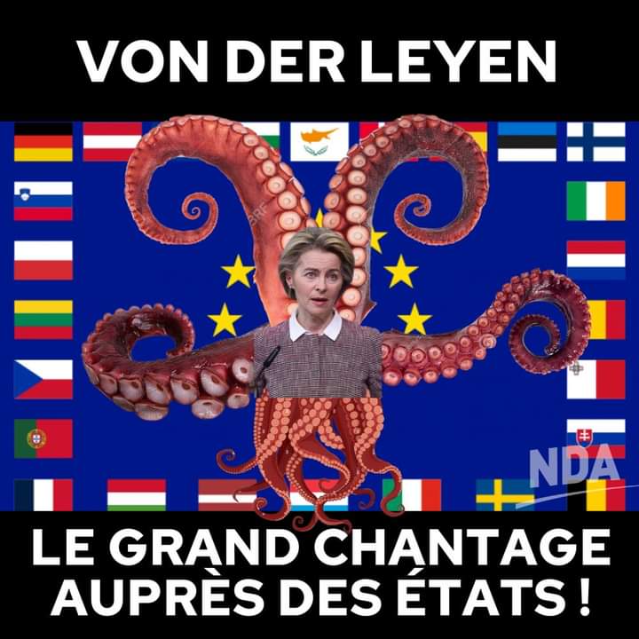 AlexDLF29's tweet image. #DLF29
L&apos;#endoctrinement de #VonderLeyen au commande de l&apos;#UE 🧐🧐
Elle veut réaliser un plan de #relance  économique #industrielle mais avec un tas de #conditions : plus de 5000 #critères 😤😤
Le #piège se referme sur les états #membres  😱😱