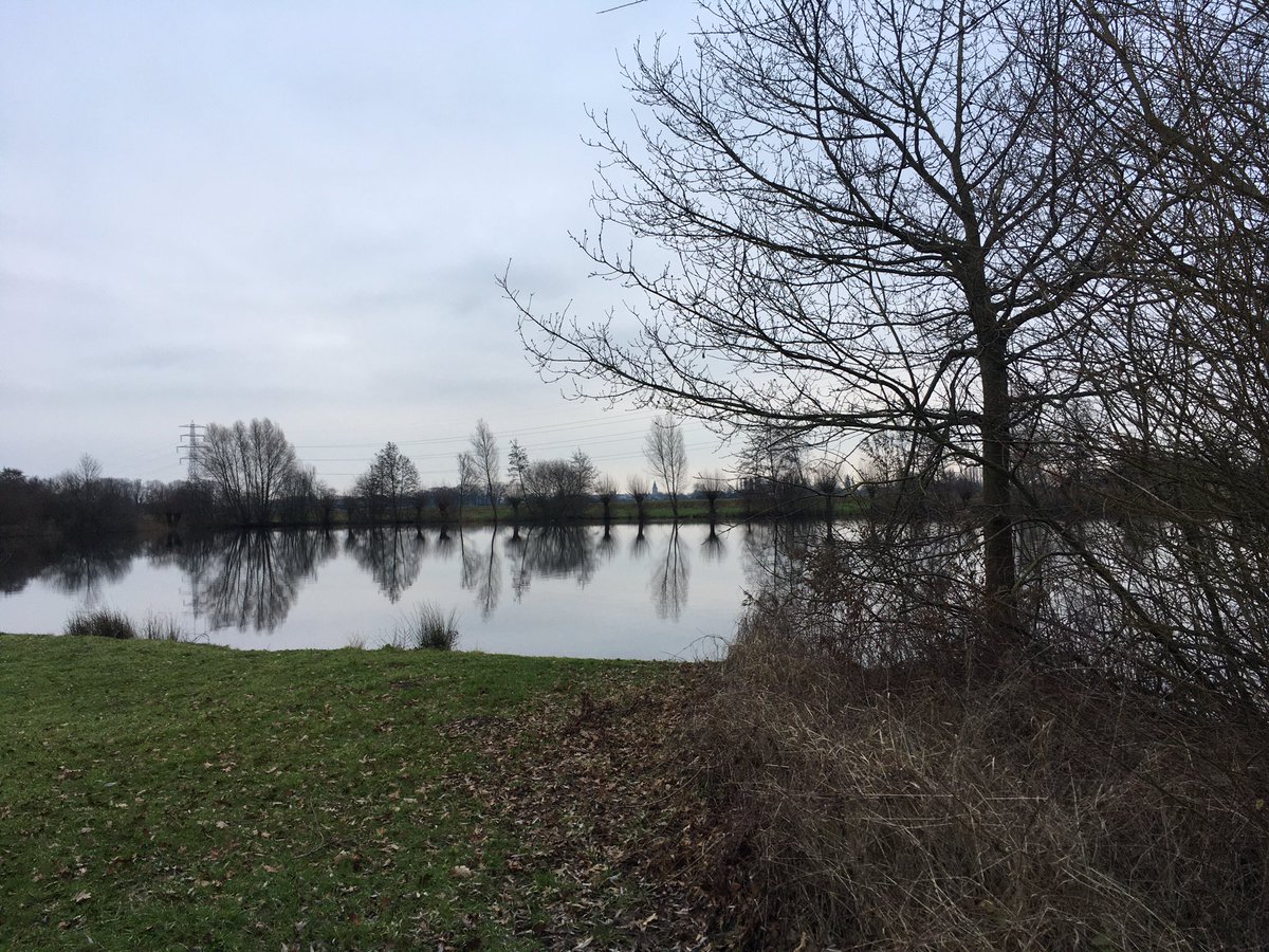 Peter30775782's tweet photo. A good start of the day #morningwalk #home https://t.co/opPlGQpmDe