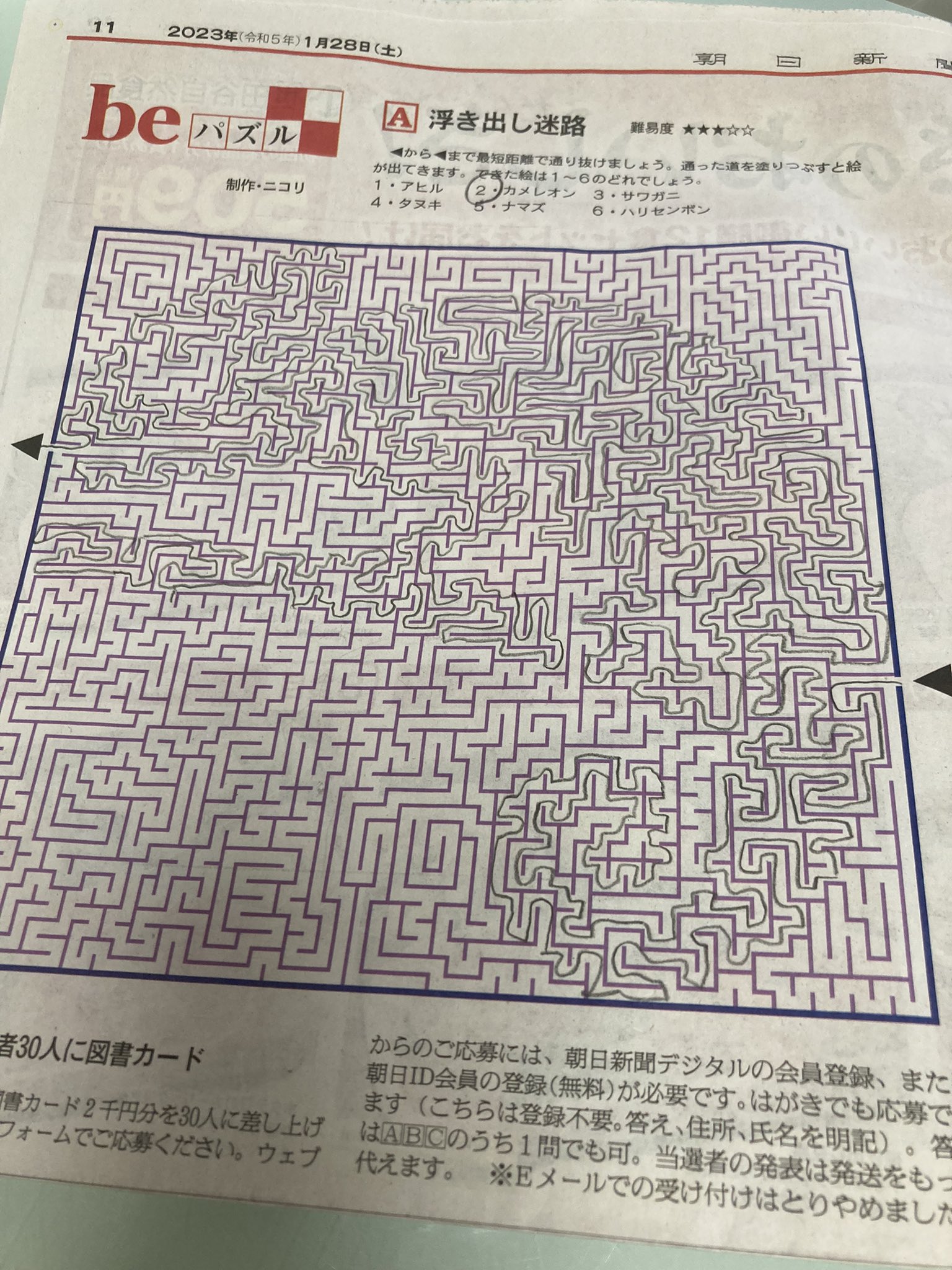 朝日新聞11月4日 朝日新聞出版 最新刊行物：AERA：AERA 2024年11月4日増大号