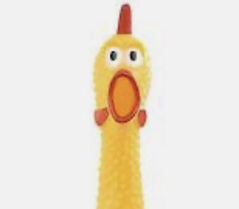 Portland Chive tweet media