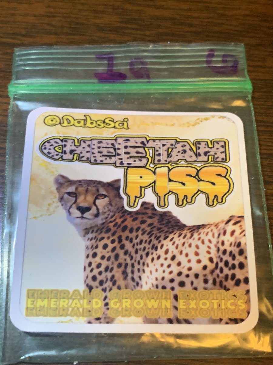 Bignz420's tweet photo. Cheetah Piss 🔥🔥🔥💨💨💨 @DabsSci just has them fire 🔥 strains go hit his link in his description or send a DM and get that MUST HAVE 🔥 menu with all the 🔥 strains get it #StonerFam #weed #bud #dabs #smokeweed #420community #420friendly #CannabisCommunity #Stoners #CaliBud 🔥 https://t.co/Gs6U7sfNqX