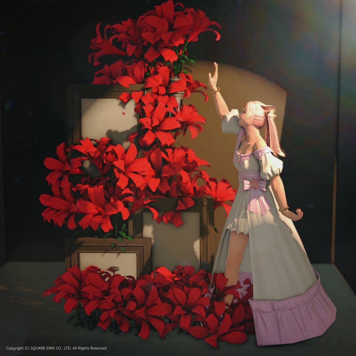 ElleMaria3's tweet photo. #studiomer
時間がよくなかった？窓が光ってないw
赤い百合の花はいっぱい買ったので、この雰囲気でつくってみます。 https://t.co/CCOi77hh3h