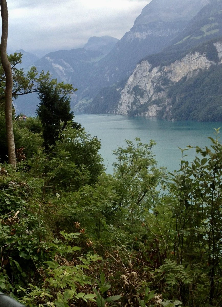 #صباح_الخير 🌺

#Switzerland  سويسرا 🇨🇭 

من أجمل الإطلالات التي تطل على بحيرة لوزيرن ومدينة Brunnen 
الظاهرة في الصور بصراحة إطلالة ولا 
أجمل 😍 من #تصويري 2011 

#الضمان_الاجتماعي_المطور 
#EIF