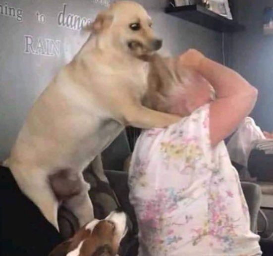 Eu pago a Globoplay pra ter acesso ao quarto do líder também <a href="/boninho/">J.B. Oliveira</a>  #bbb23