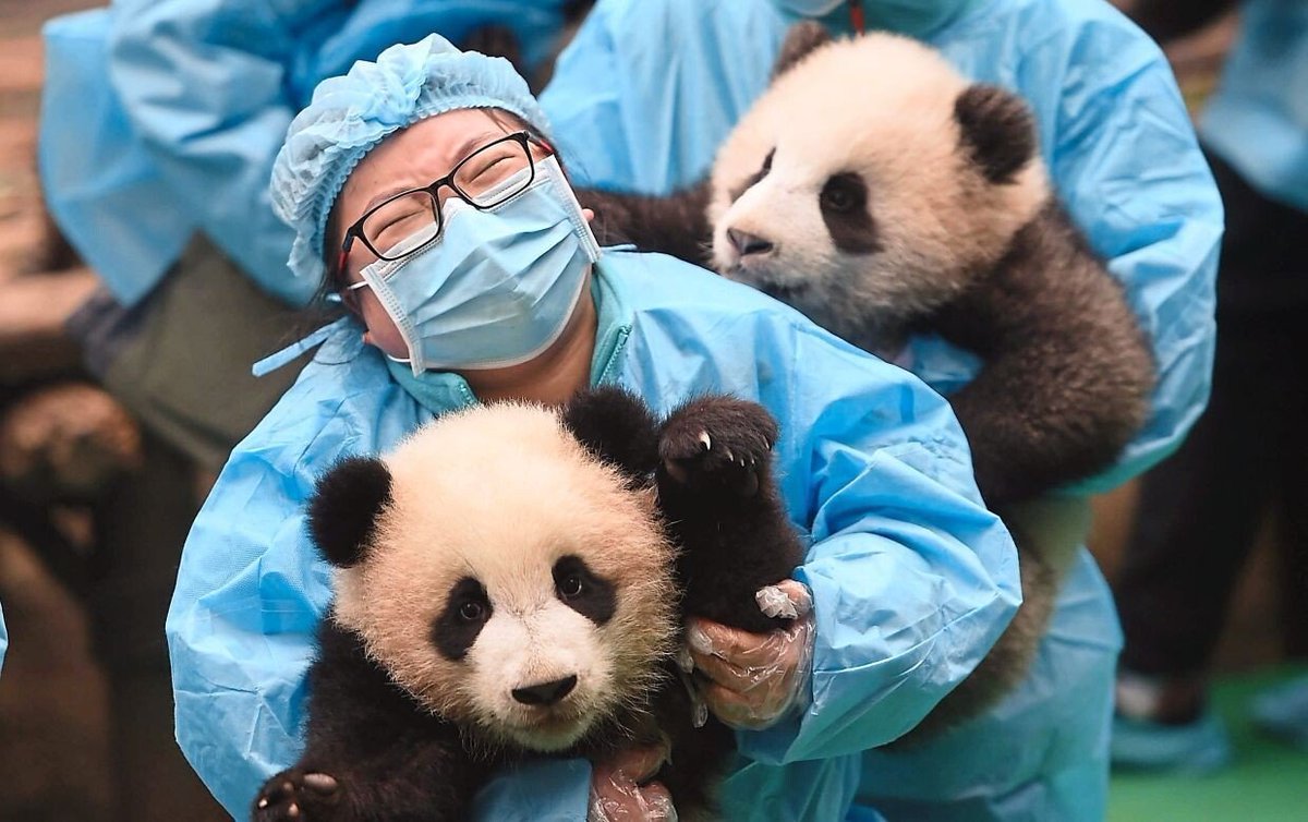 fascinating-on-twitter-in-china-you-can-earn-32-000-year-to-be-a