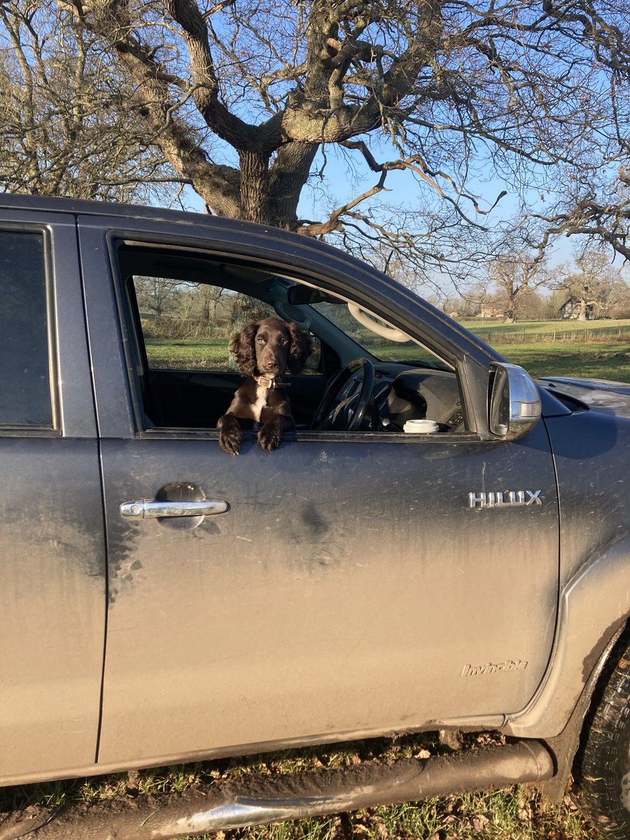 ChanterTom's tweet image. New assistant manager is working out well… keen as mustard!!