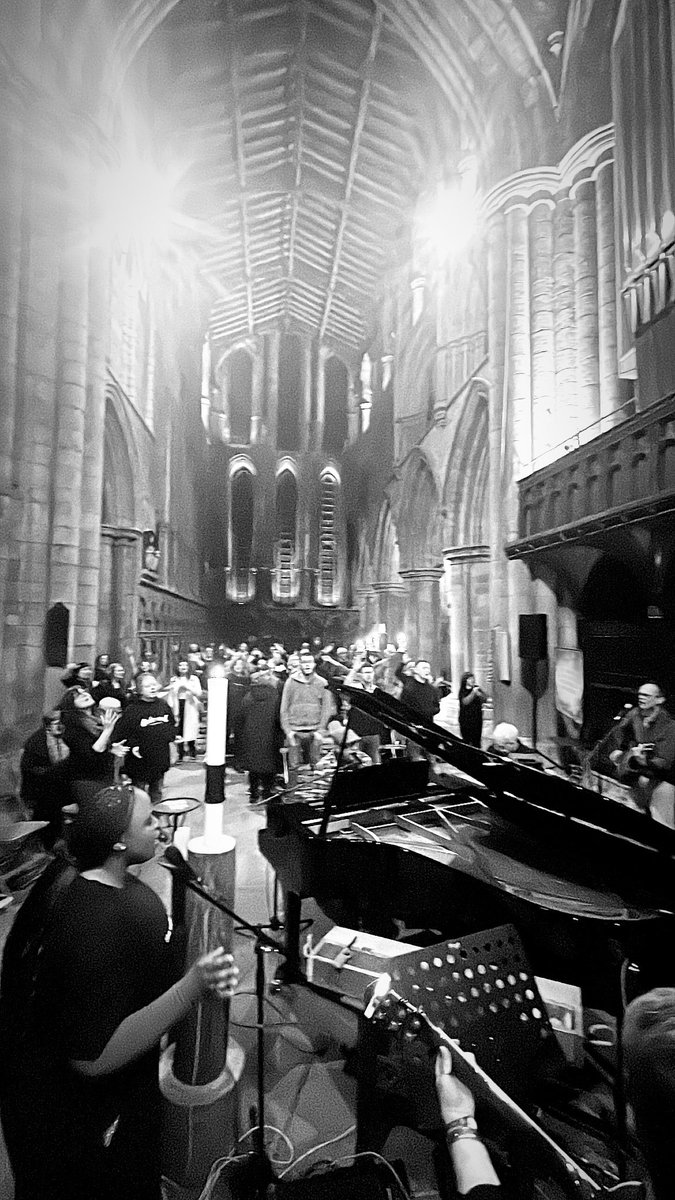 Cedarwood Festival tweet media