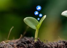 #onlinemarketing #social #media Hoe staat jouw contentmarketing-tuintje erbij?: Op het eerste gezicht is het een ietwat aparte vergelijking. Contentmarketing en tuinieren zijn immers twee heel verschillende dingen. En toch zij.. dld.bz/jBZz7