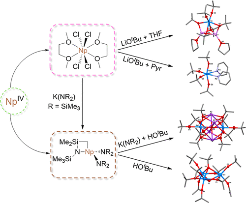 bhkenlo's tweet photo. Neptunium Alkoxide Chemistry: Expanding Alkoxides to the Transuranium Elements https://t.co/3a6FdvX0jc Grödler, Mathur, Albrecht-Schönzart, and co-workers @InorgChem 📢Communication📢
#neptunium #237Np #alkoxide #homobimetallic https://t.co/nF66oVGxfp