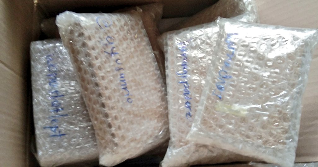 jccc0523's tweet photo. All remaining items are packed and ready to ship na ! Tysm po for your patience and trust <33 https://t.co/UuZ3UYsTwX