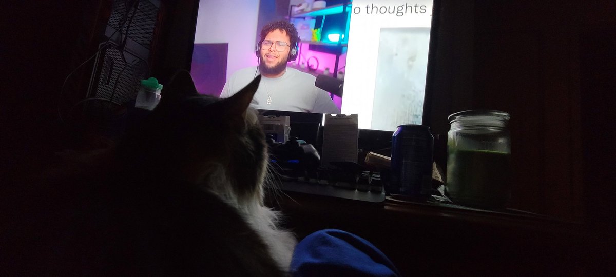 awkward_glitch's tweet photo. My cat is real invested in @SoGrizzy  hasn't taken his eyes off the screen for 7 mins https://t.co/Dy8tCZdsAv