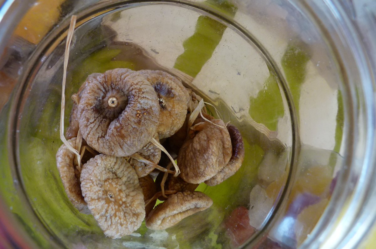 LilGirlBlueugz's tweet image. Fraîches en été
Puis sèches toute l'année
Goût miel fruité
💚☀️💜
Bon réveil à tous ! Vitaminé, c'est encore mieux.
#Haïku #photography #figues