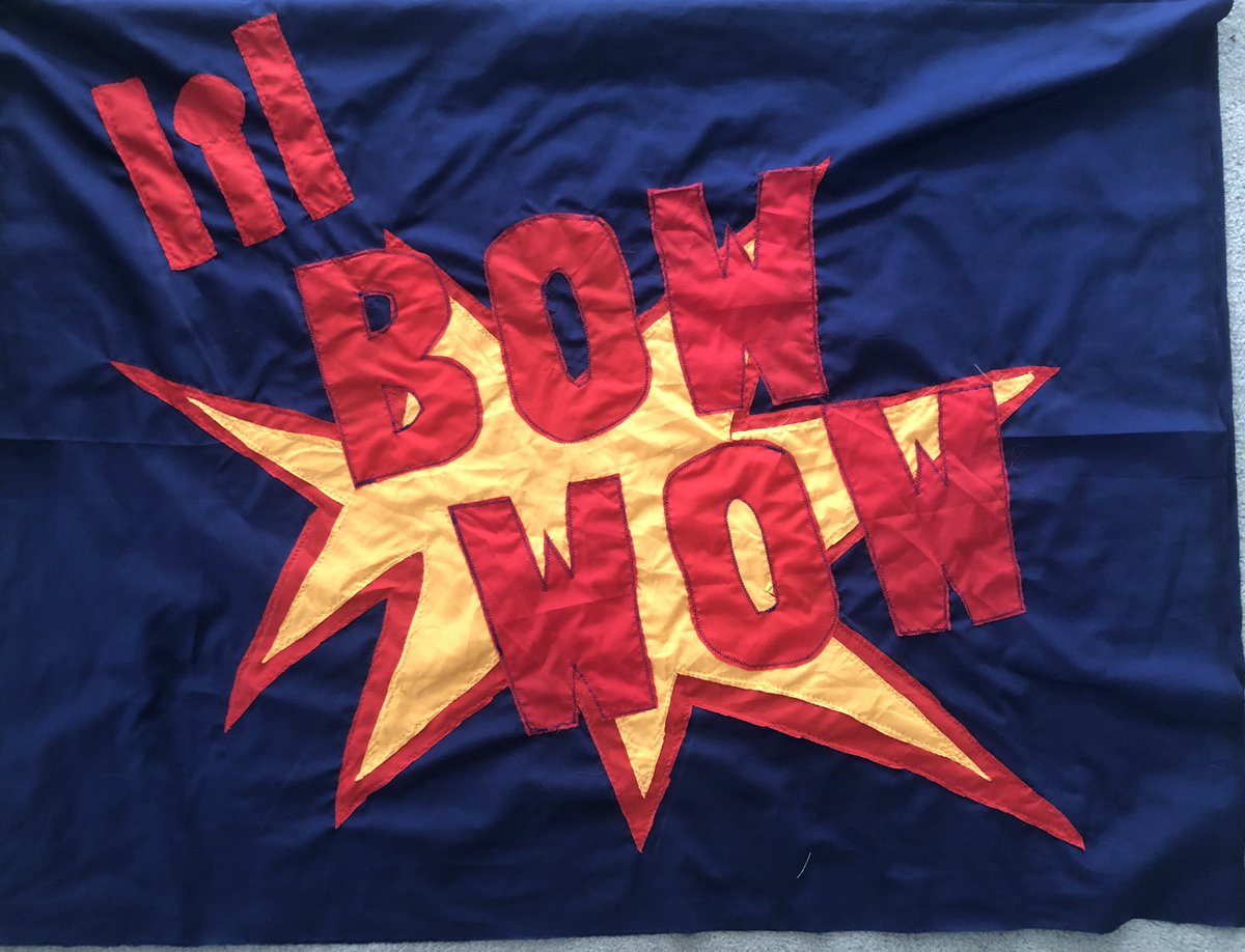 suzcon's tweet photo. Living a dream preseason - another banner made &amp; thinking of @The_DeeBrief while working on this one. https://t.co/zhCRB6c9MS